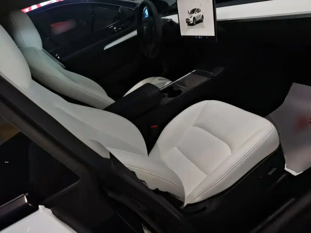 Tesla Model Y — миниатюра 25