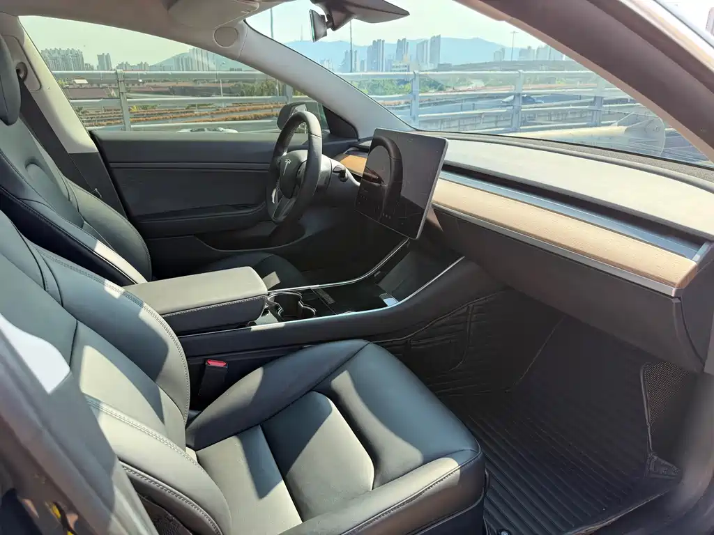 Tesla Model 3 — миниатюра 11