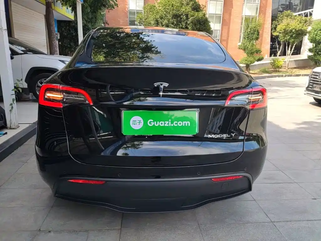 Tesla Model Y — миниатюра 6