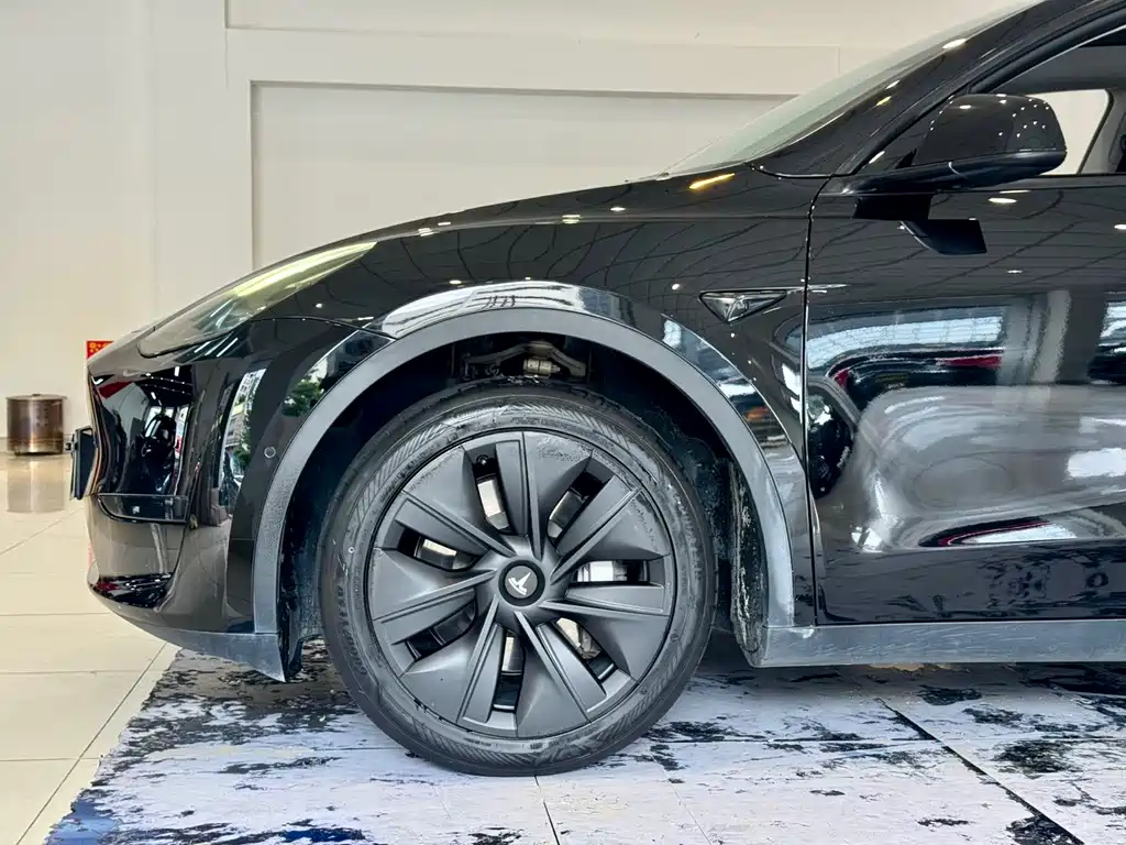 Tesla Model Y — миниатюра 10