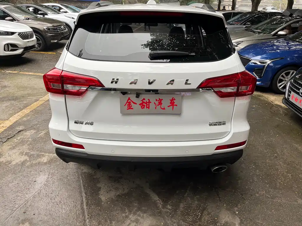 HAVAL M6