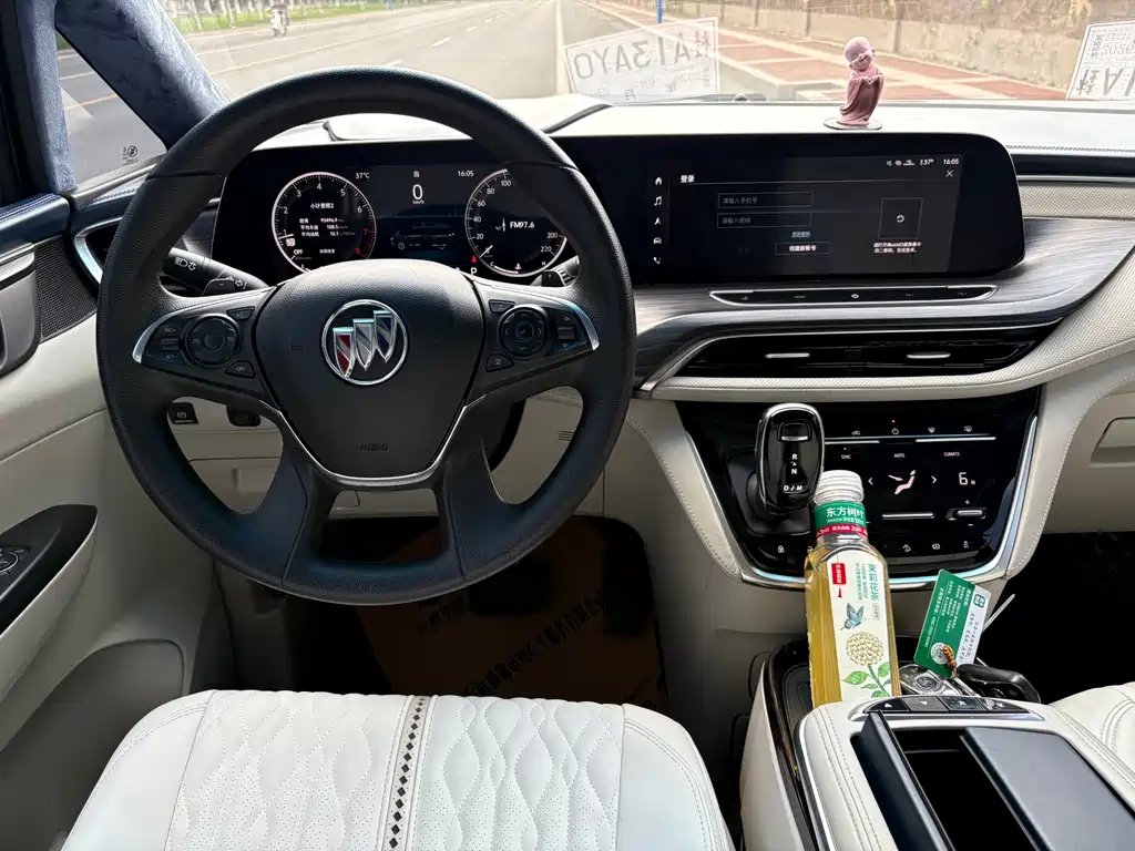Buick GL8 — миниатюра 10