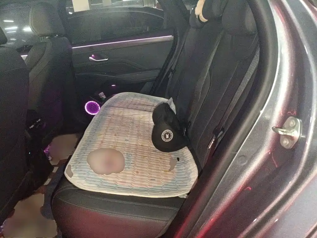 BYD Qin PLUS — миниатюра 15