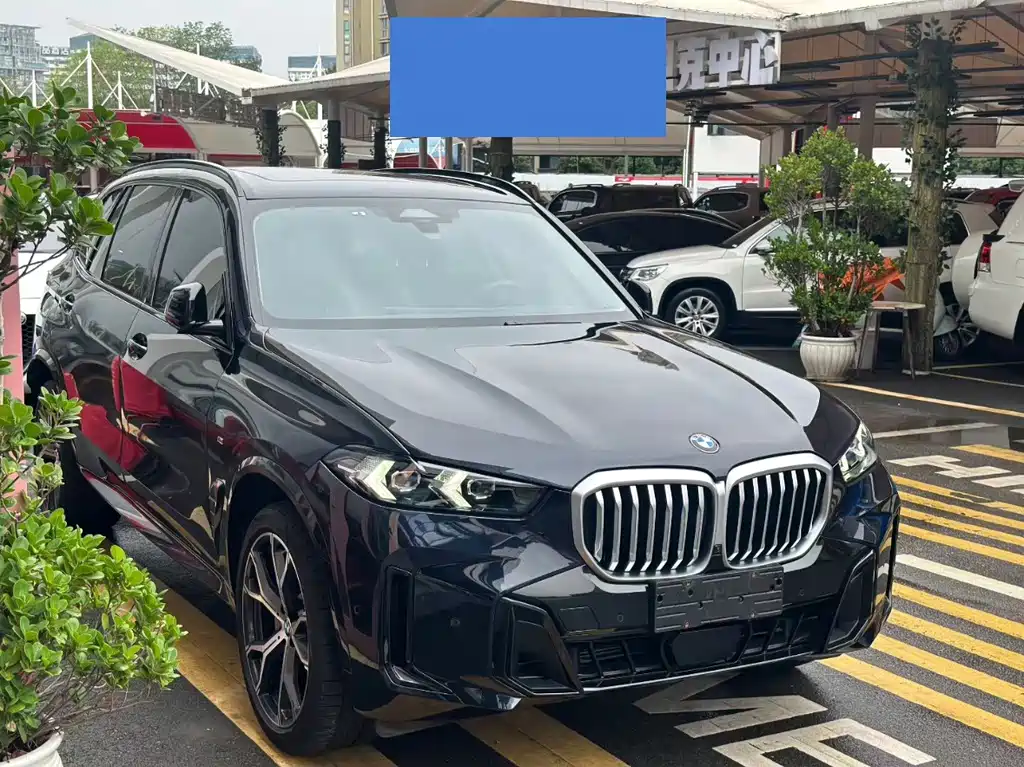 BMW X5 — миниатюра 3