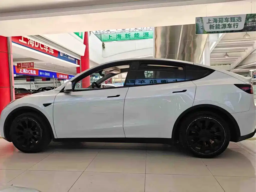 Tesla Model Y — миниатюра 9