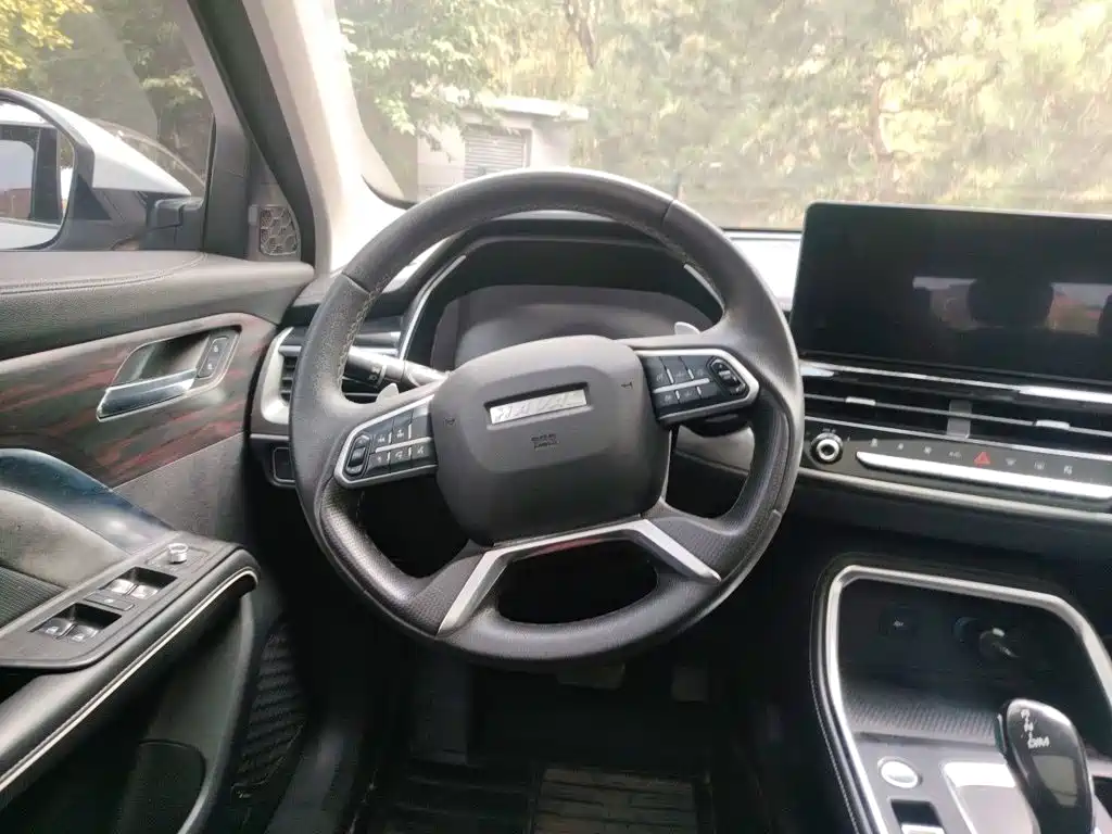 Haval H6 — миниатюра 11