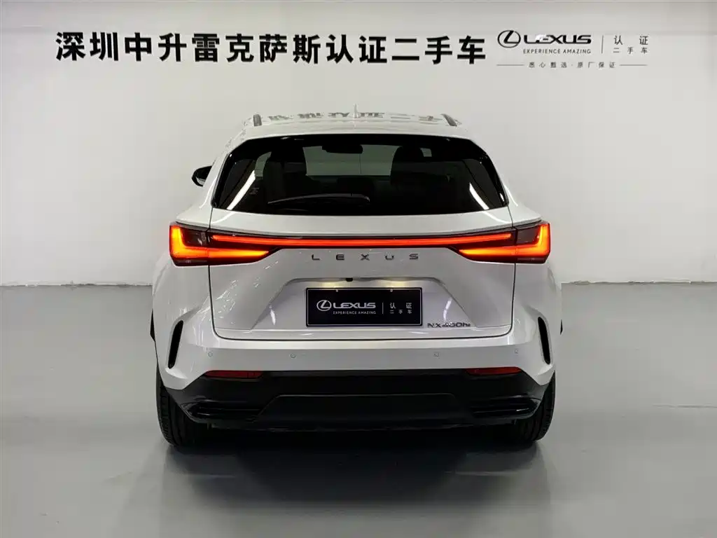 LEXUS NX NEW ENERGY