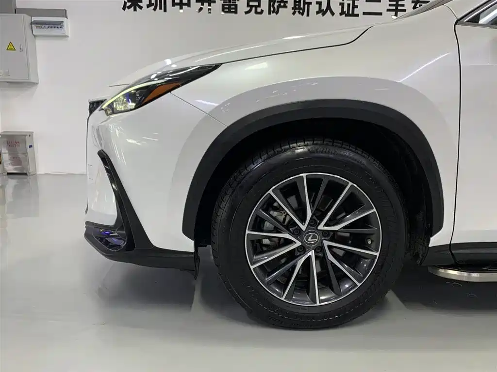 LEXUS NX NEW ENERGY