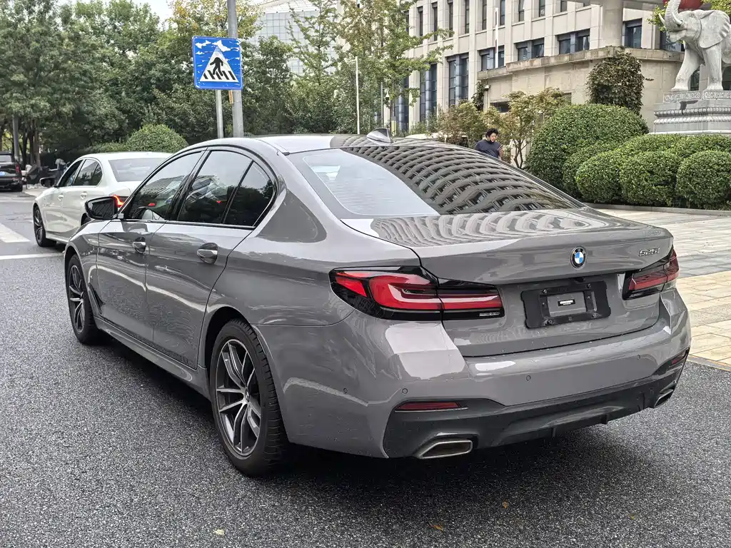 BMW 5 Series (Import) — миниатюра 2