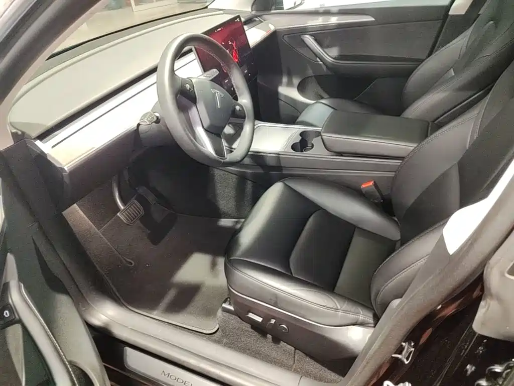 Tesla Model Y — миниатюра 15