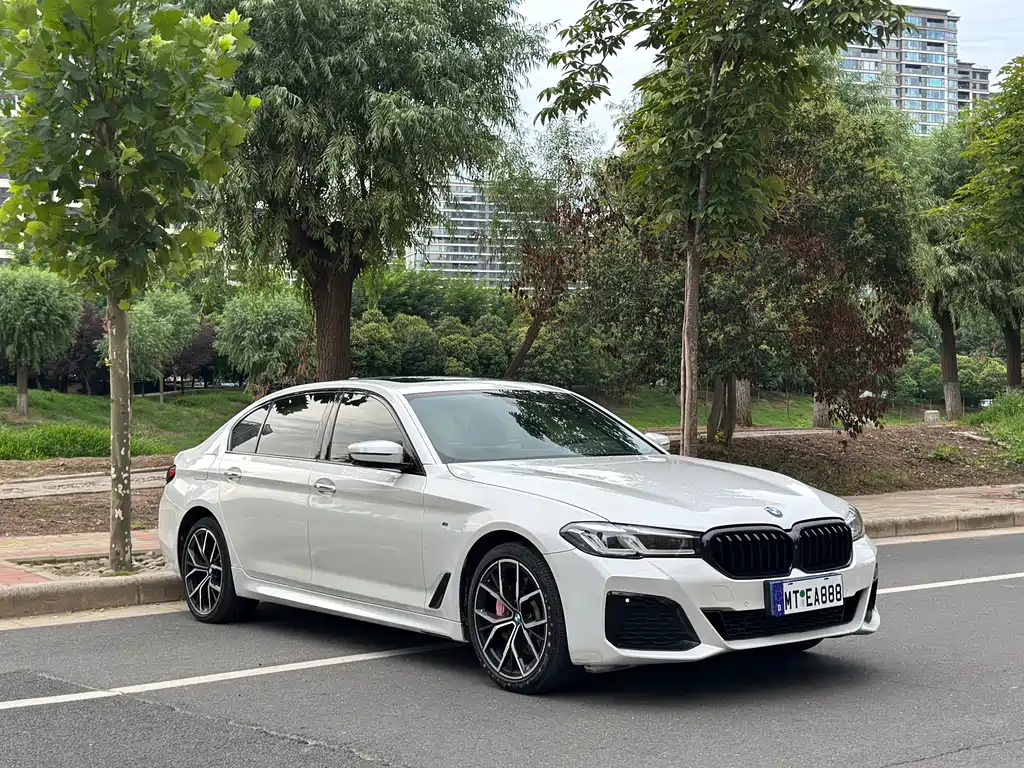 BMW 5 Series — миниатюра 3