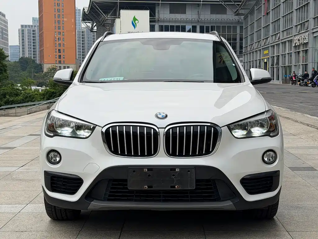 BMW X1 — миниатюра 2