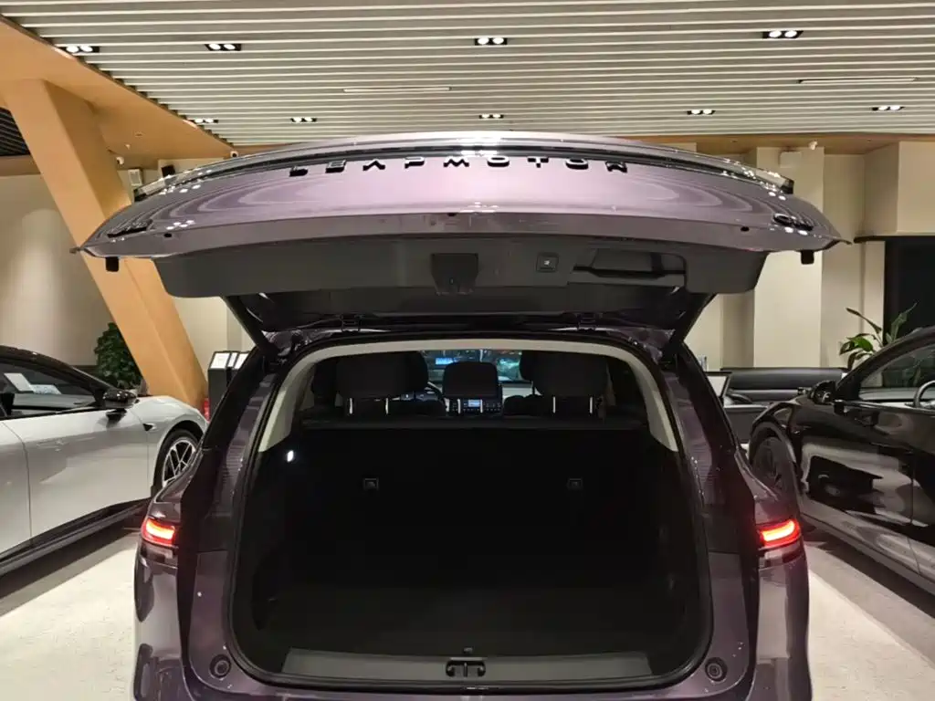 Leapmotor Leapmotor C10 — миниатюра 19