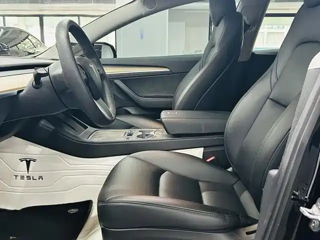 Tesla Model 3 — миниатюра 7