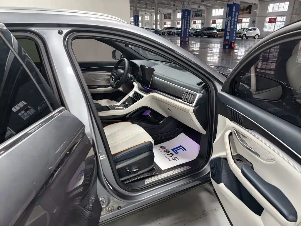 BYD PLUS New Energy — миниатюра 13
