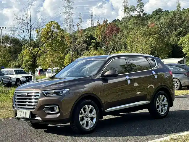 HAVAL  H6