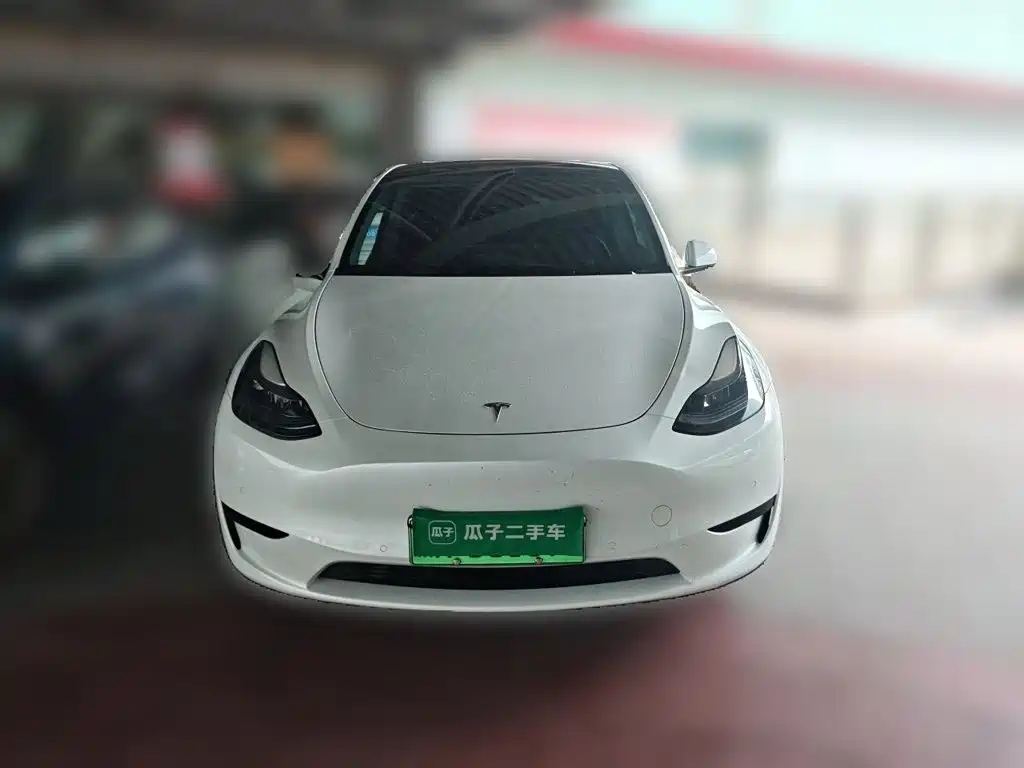 Tesla Model Y — миниатюра 2