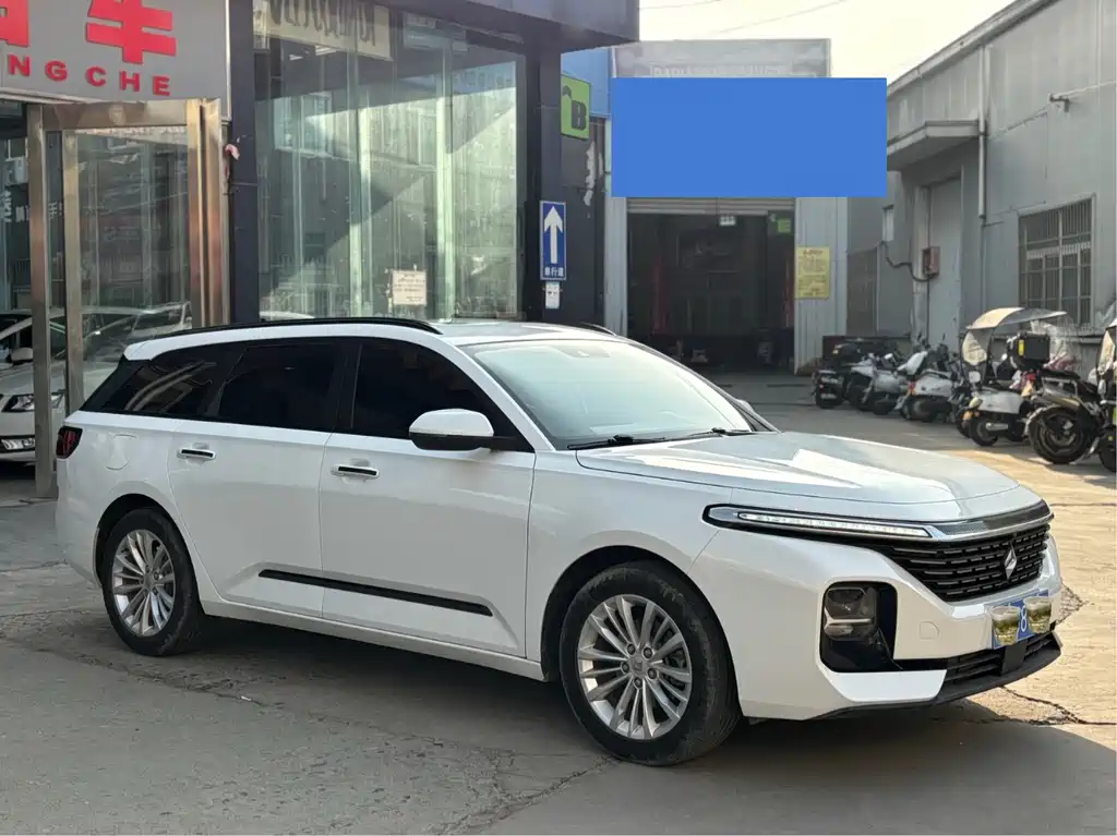 BAOJUN VALLI