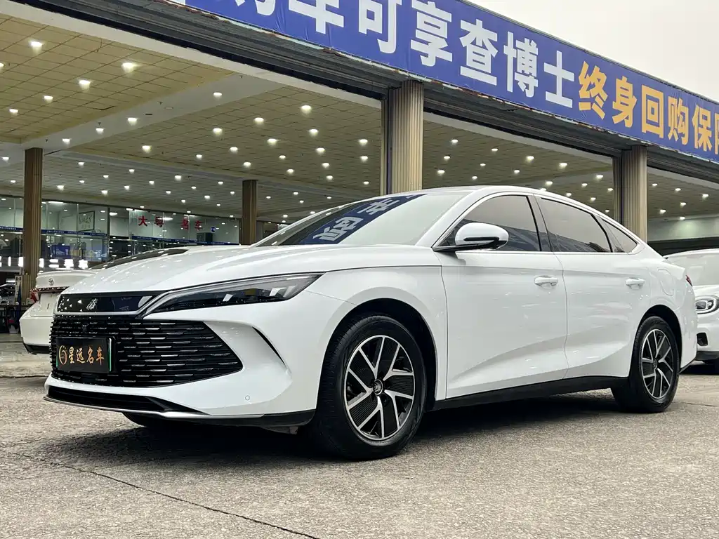 BYD QIN L
