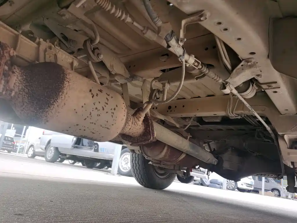 JINBEI GOLDEN CUP SEA LION