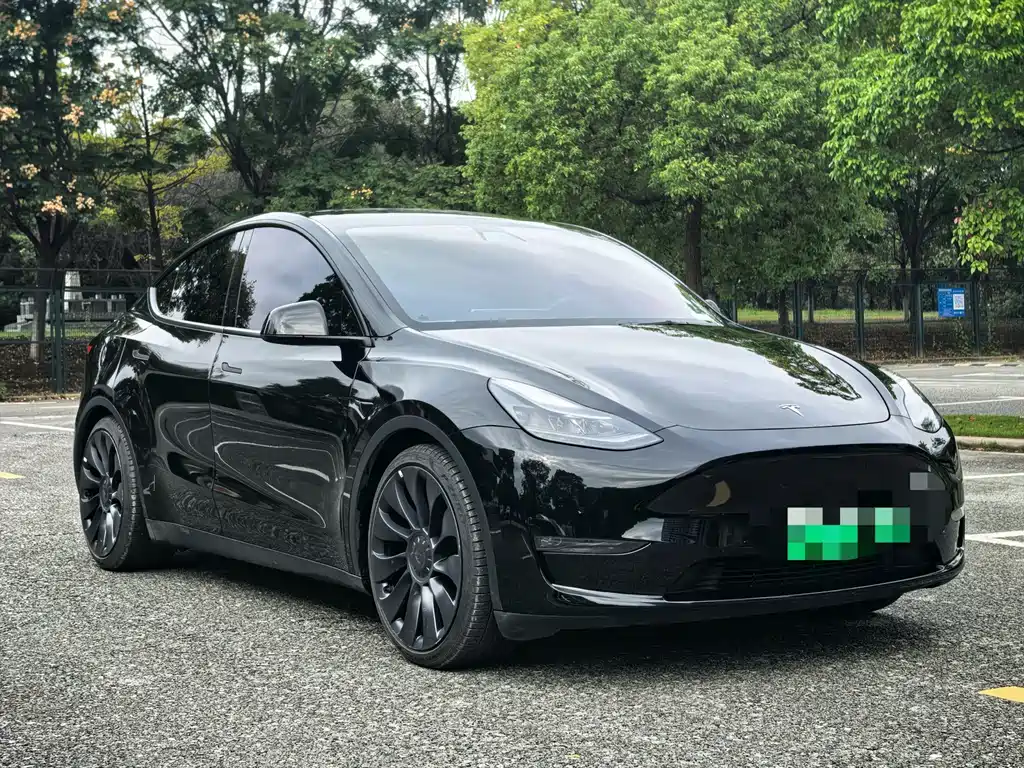 Tesla Model Y — миниатюра 3