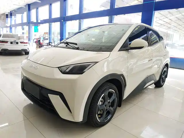 2024 BYD Seagull