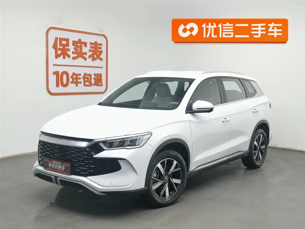 BYD Pro New Energy 2024