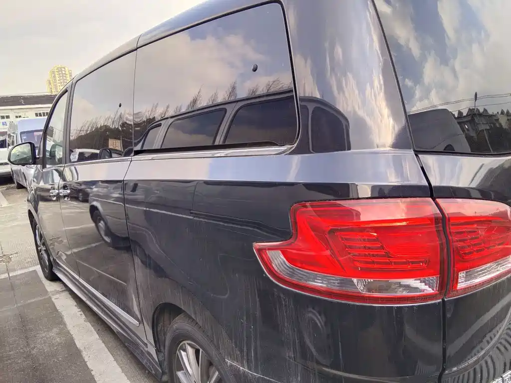 SAIC MAXUS CHASE G10