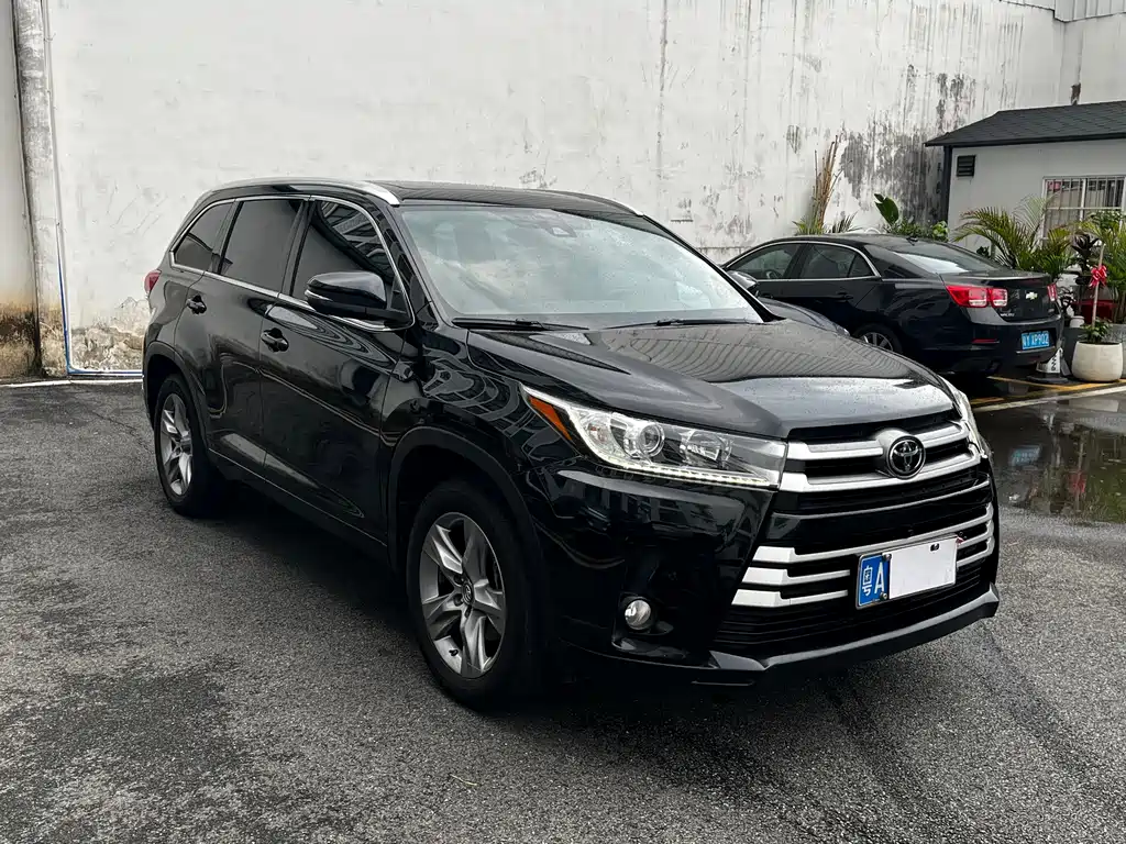Toyota Highlander 2018 2.0T Luxury 7 мест VI