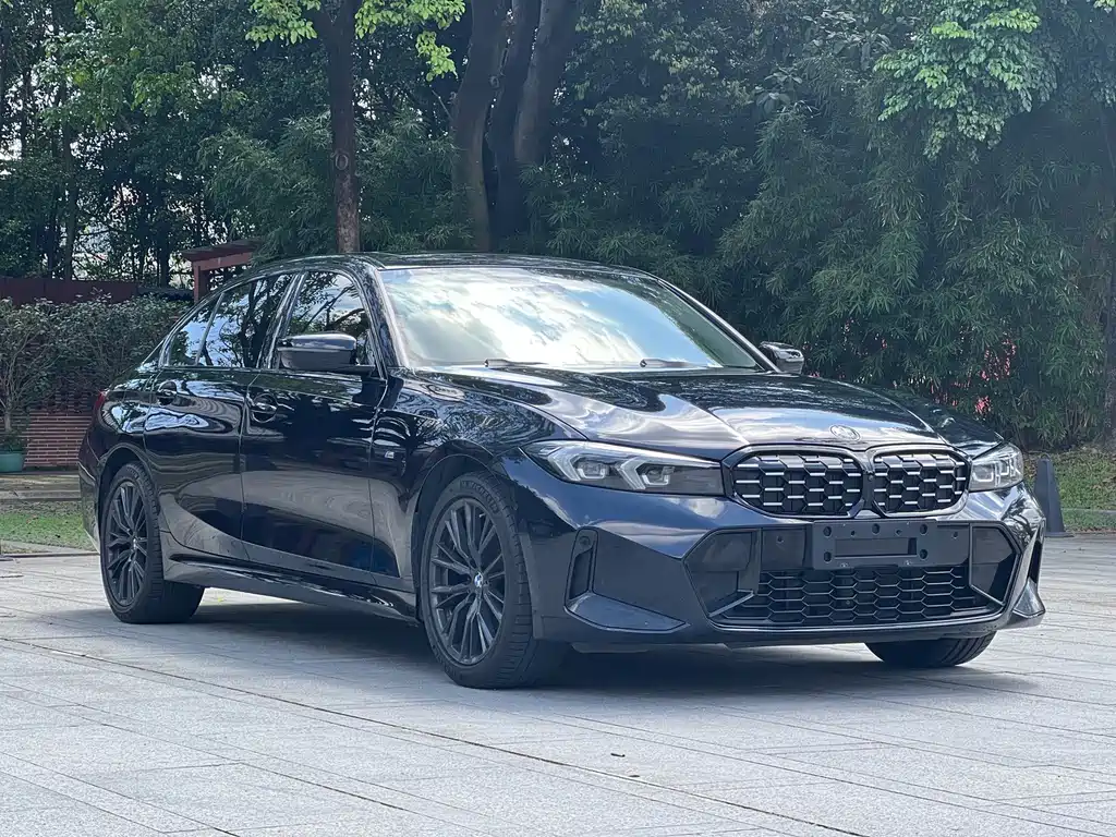 BMW 3 Series — миниатюра 6