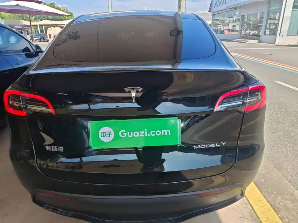 Tesla Model Y — миниатюра 6