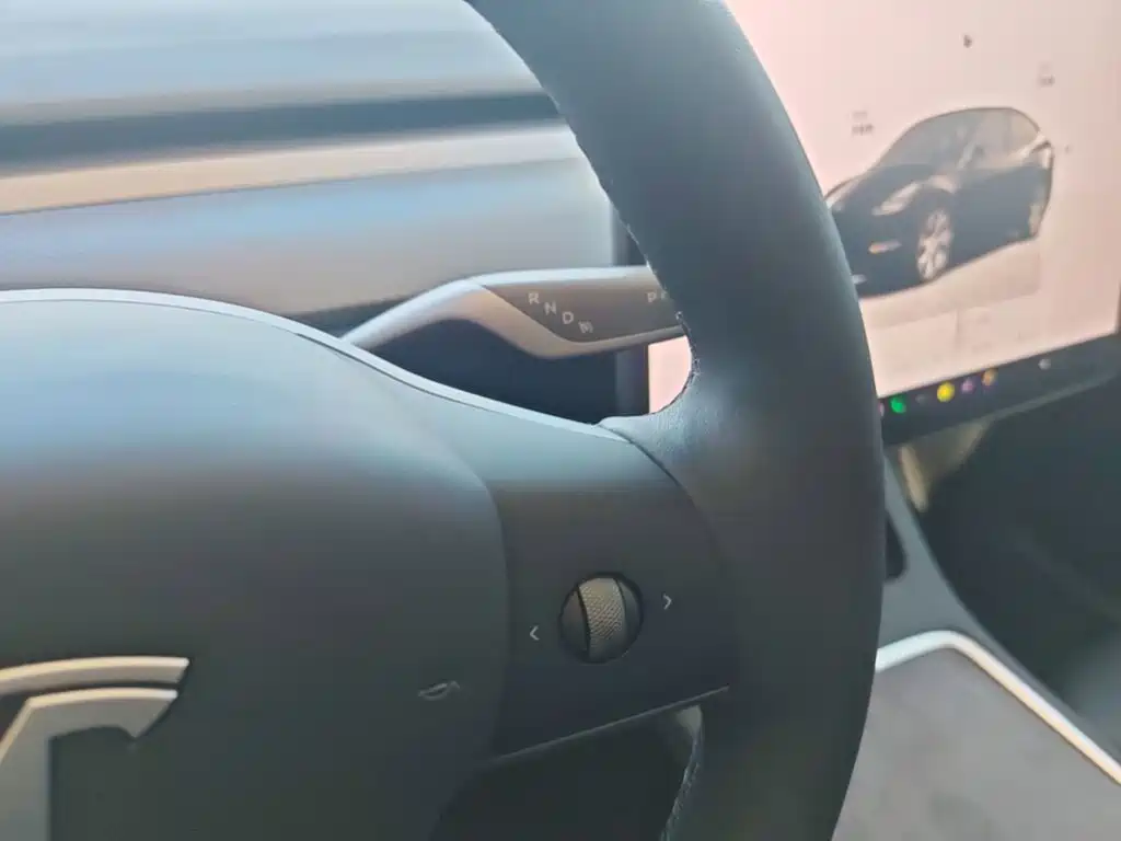 Tesla Model Y — миниатюра 14