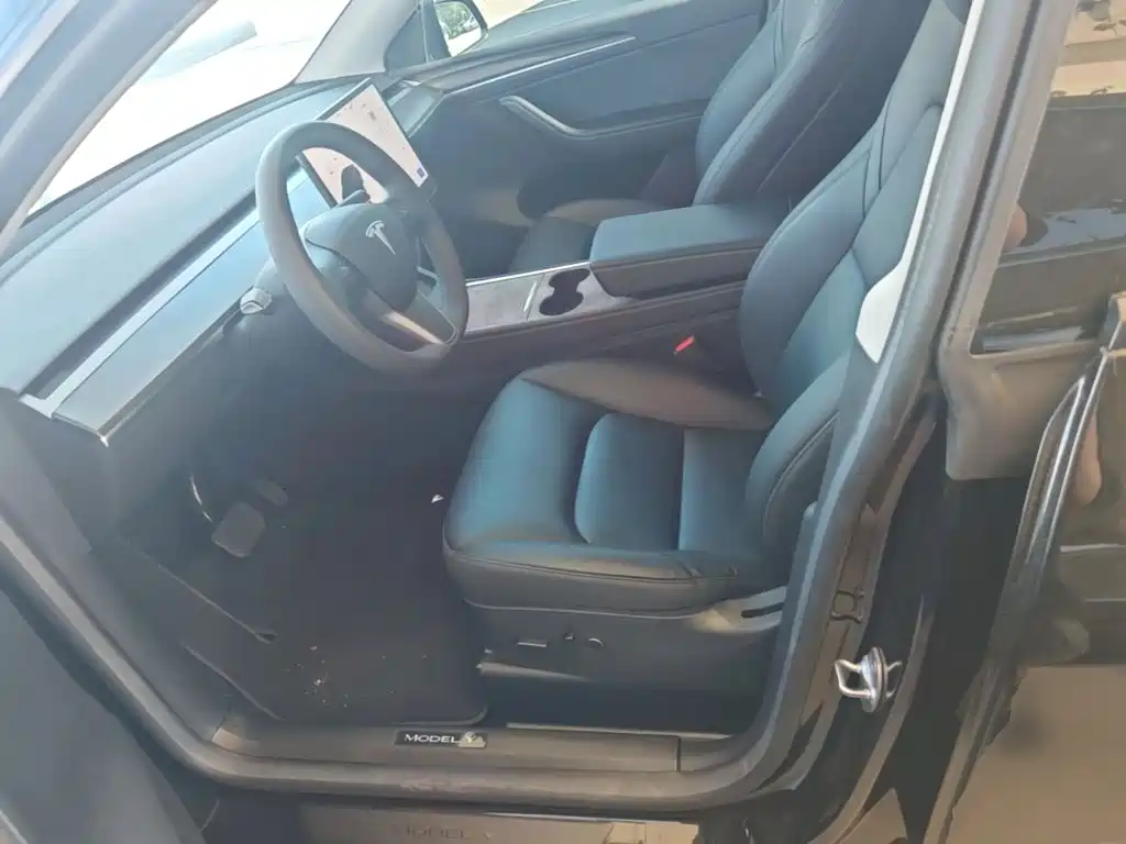 Tesla Model Y — миниатюра 15