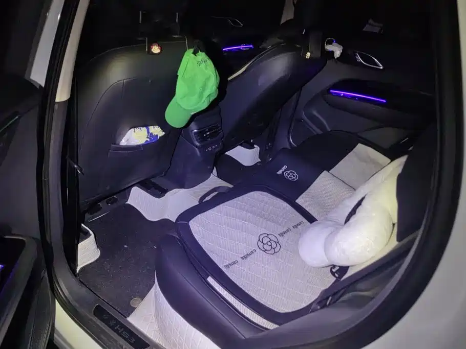 Hongqi Hongqi HS3 PHEV — миниатюра 11