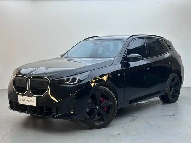 BMW X — фото 1
