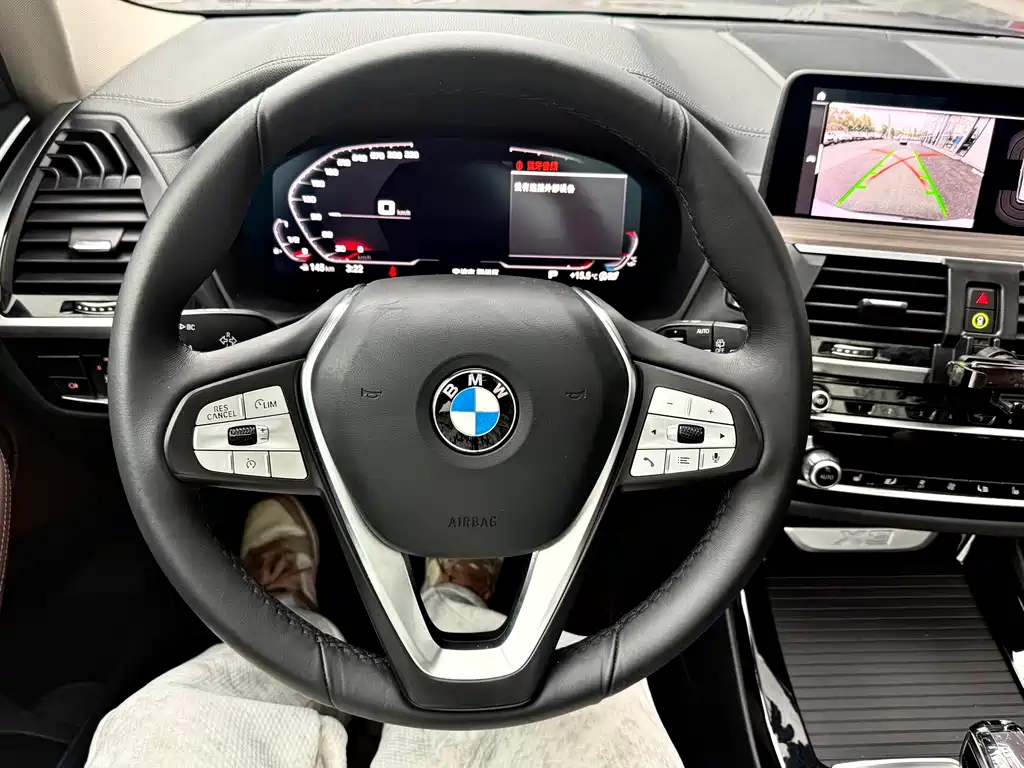 BMW X3 2021 xDrive25i Luxury