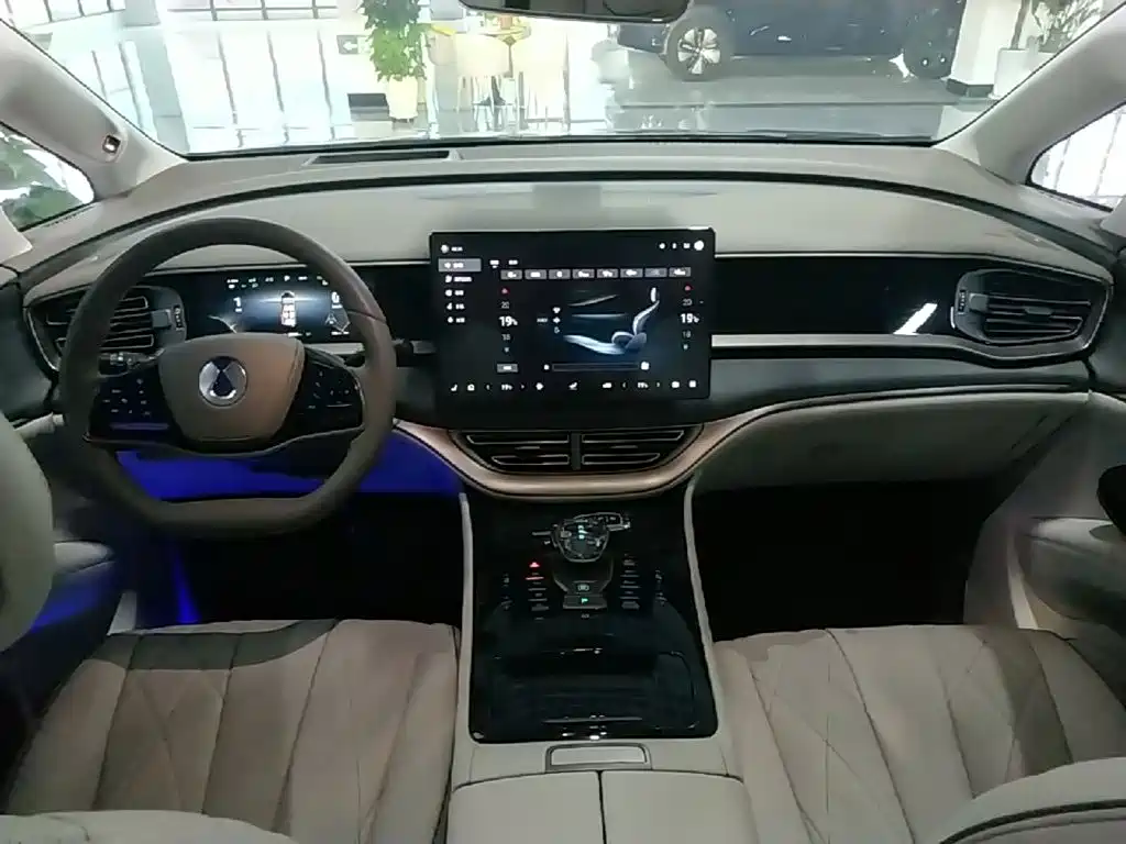 Denza Denza D9 — миниатюра 10