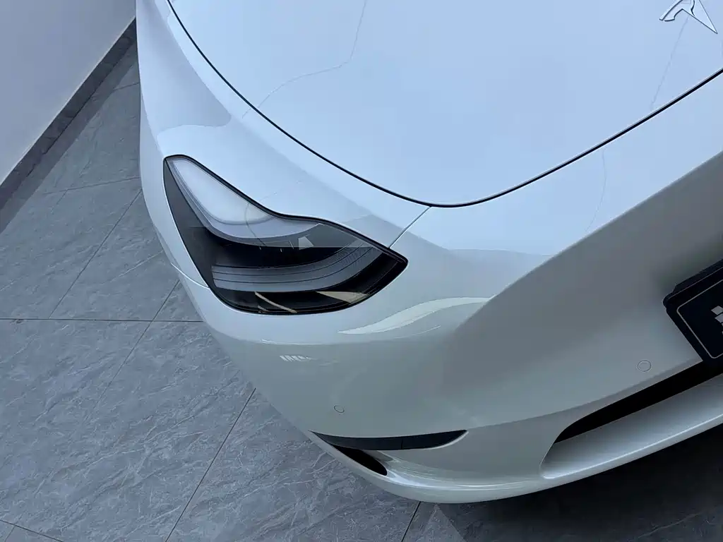 Tesla Model Y — миниатюра 3