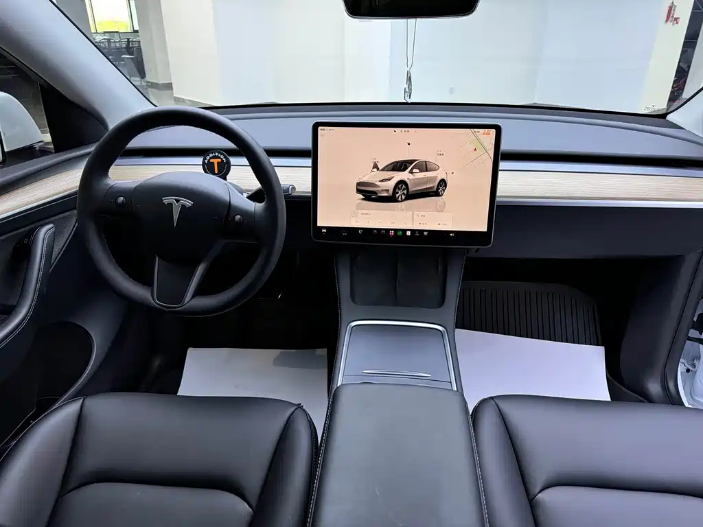 Tesla Model Y — миниатюра 10