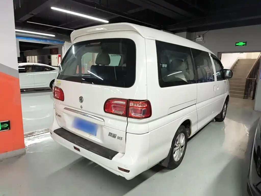 Fengxing Lingzhi — миниатюра 7