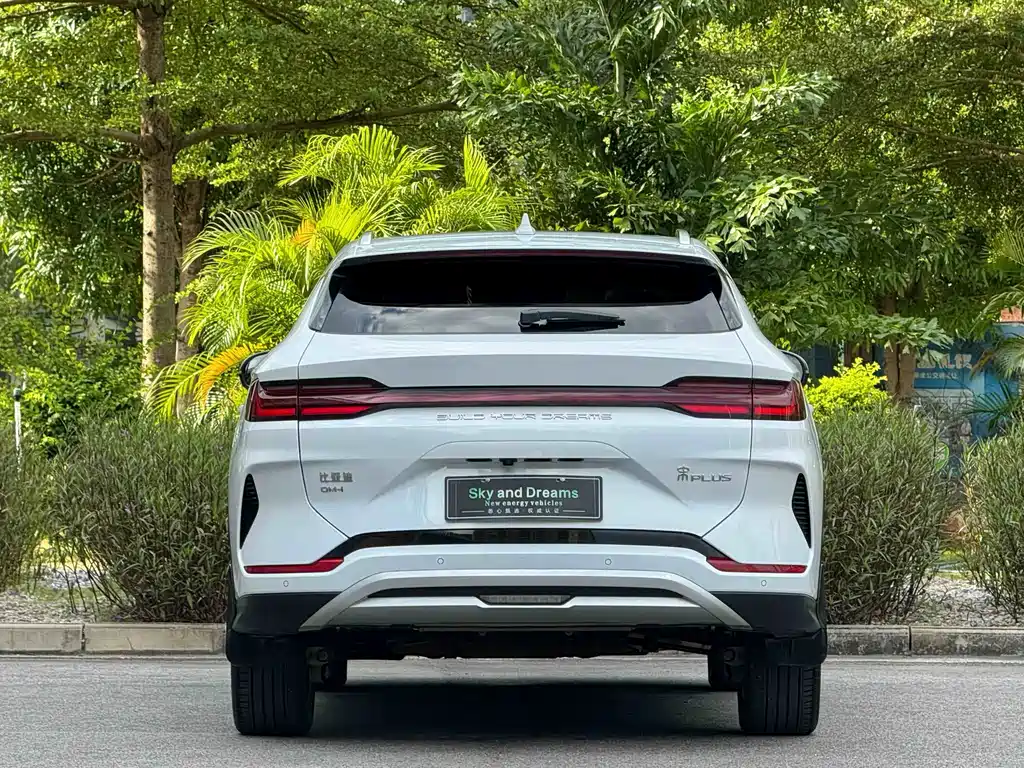 BYD PLUS New Energy — миниатюра 5