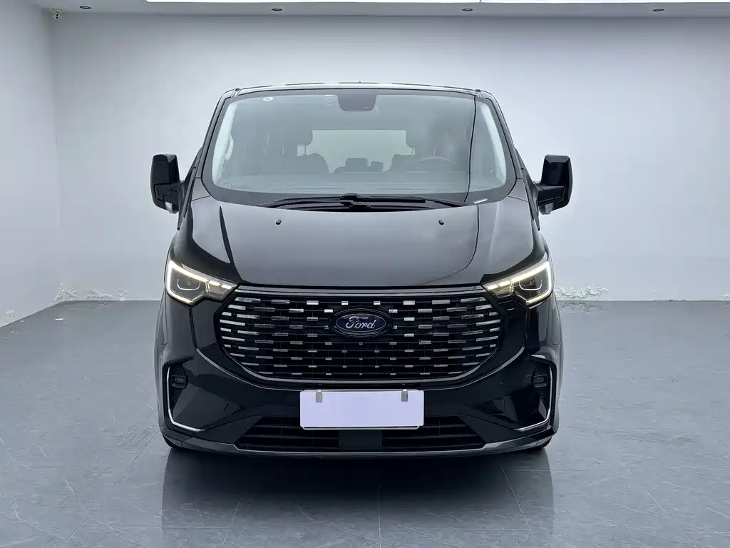 Ford Tourneo — миниатюра 2
