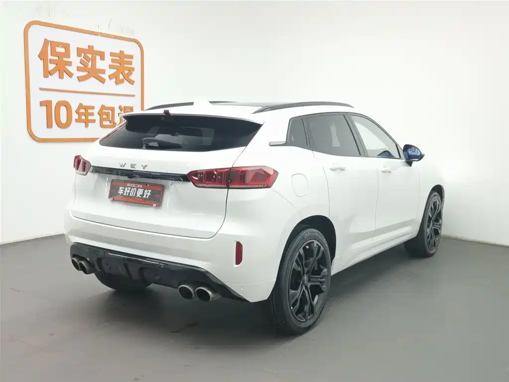 WEI PAI WEI BRAND VV7