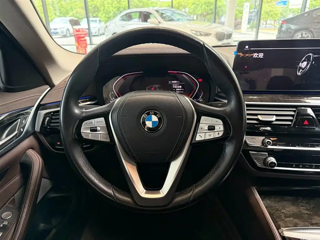 BMW 5 Series 5 2021 525Li Luxury