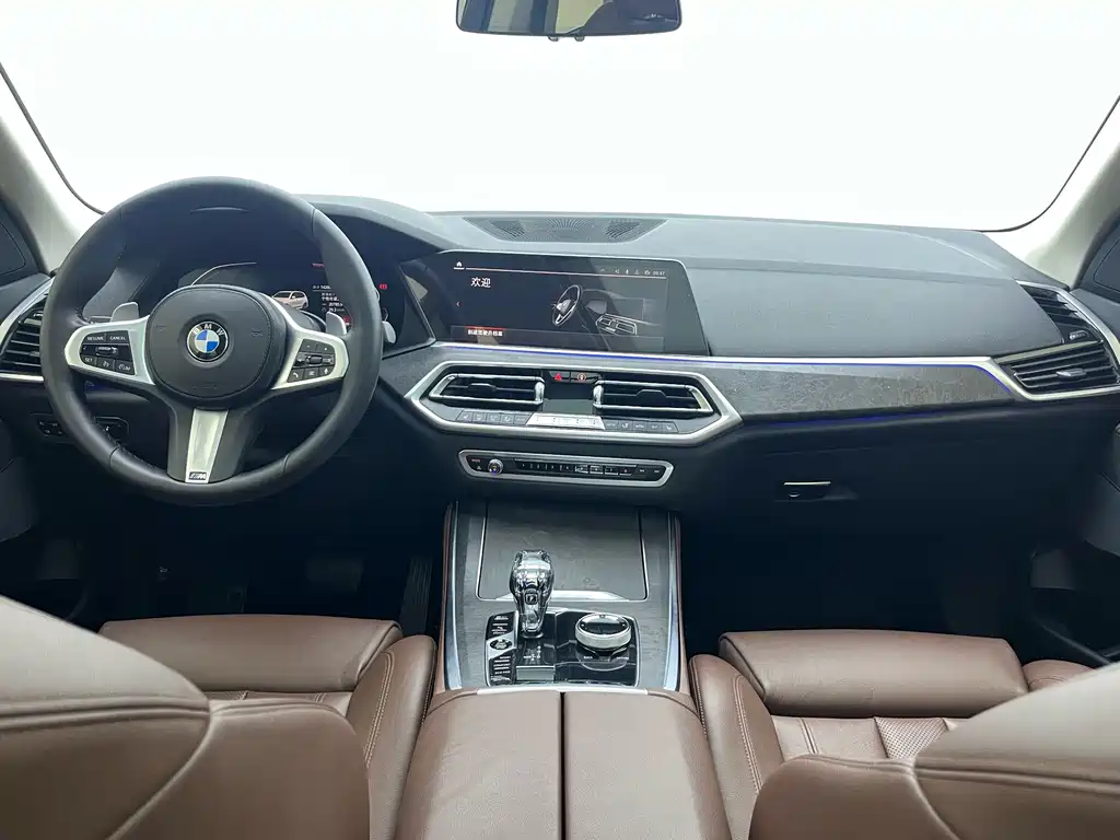 BMW X5 (Import) — миниатюра 10