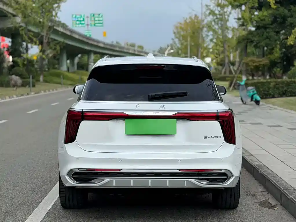 Hongqi Hongqi E-HS9 — миниатюра 12