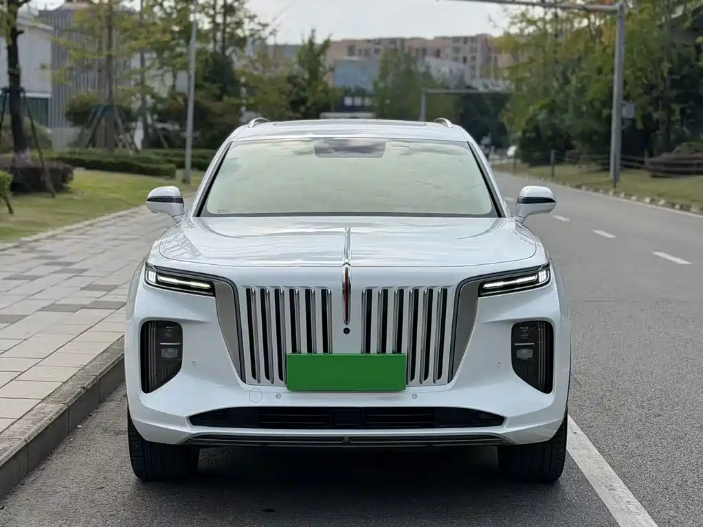 Hongqi Hongqi E-HS9 — миниатюра 2