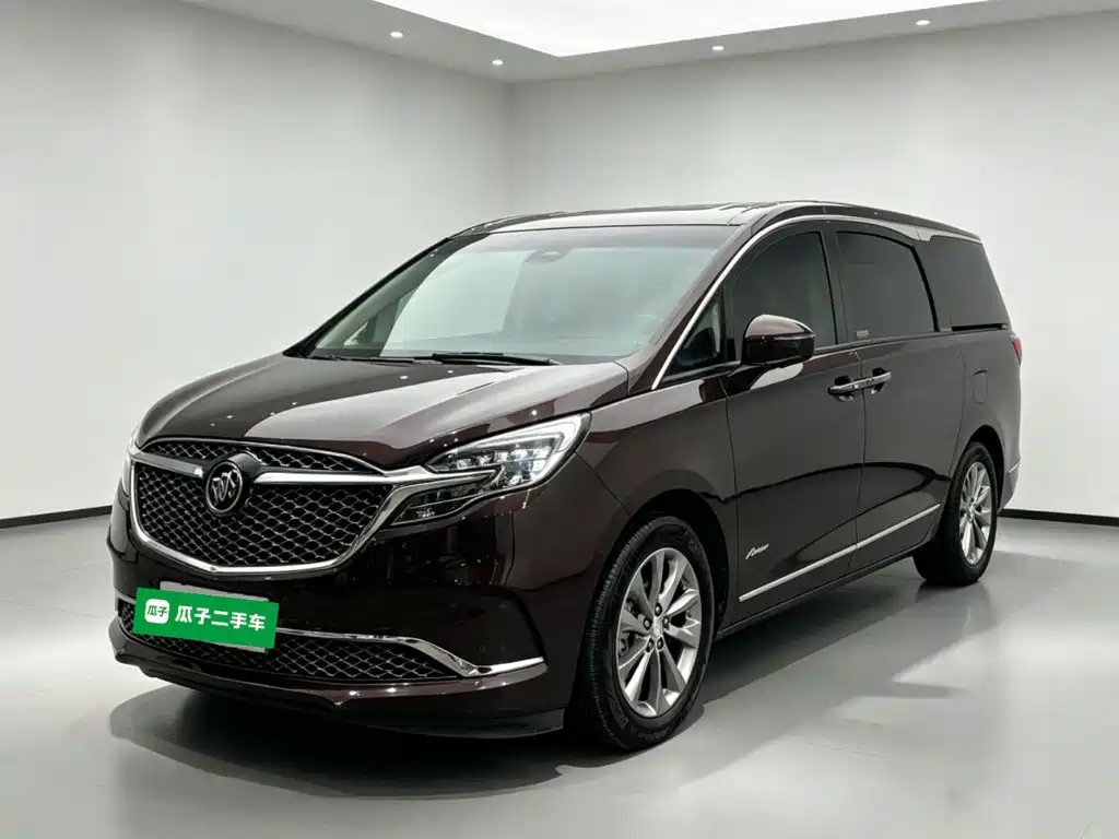 Buick GL8 — миниатюра 2