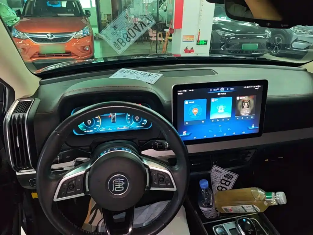 BYD Tang New Energy — миниатюра 10