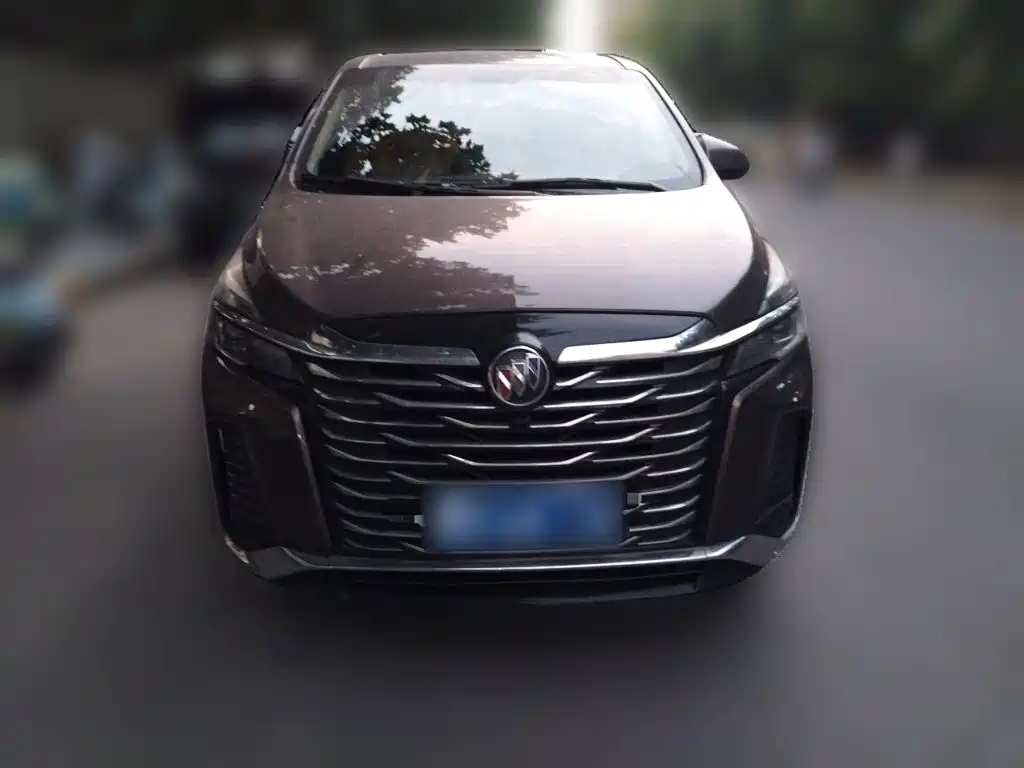 Buick GL8 — миниатюра 2